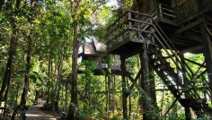 Permai Rainforest Resort