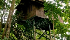 Permai Rainforest Resort