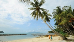 Pulau Sibu