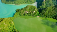 Langkawi-Dayang Bunting