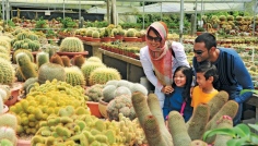 Cameron Highlands - kaktusov farma