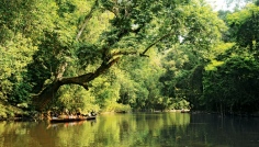 Taman Negara - Lata Berkoh