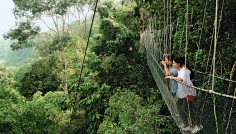 NP Taman Negara