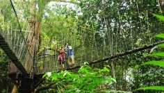 Penangsk nrodn park