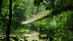 Danum Valley