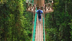 Danum Valley