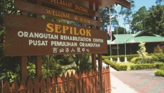 Sepilok